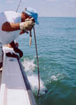   port arthur fishing guide lafayette trophy fishing baton rouge redfish lousiana guides sabine lake fishing trips beaumont charter lake charles bay fishing orange fishing reports  